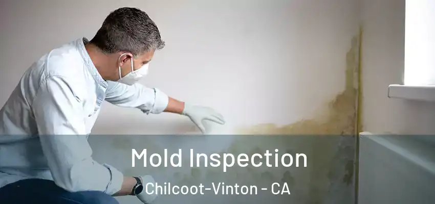  Mold Inspection Chilcoot-Vinton - CA