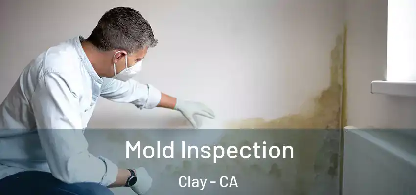  Mold Inspection Clay - CA
