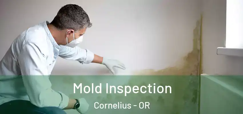  Mold Inspection Cornelius - OR