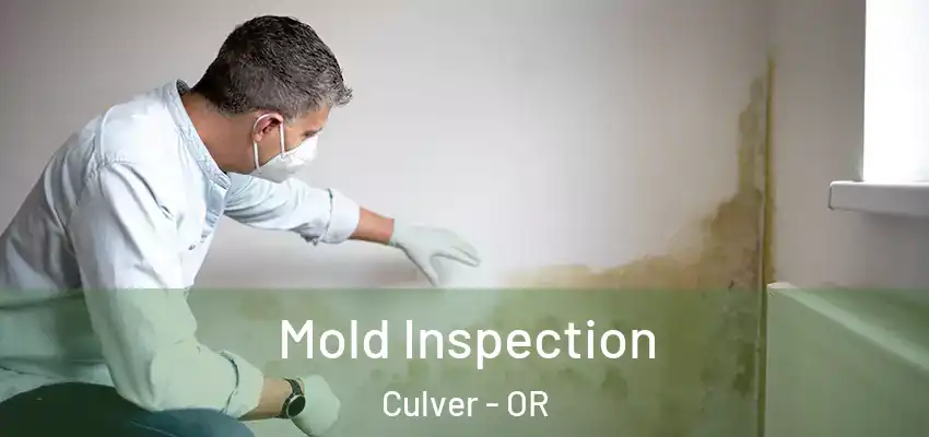  Mold Inspection Culver - OR