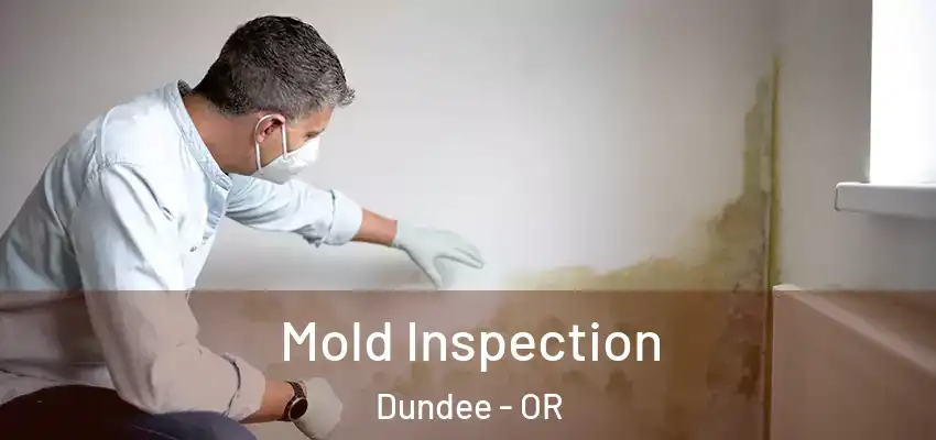  Mold Inspection Dundee - OR