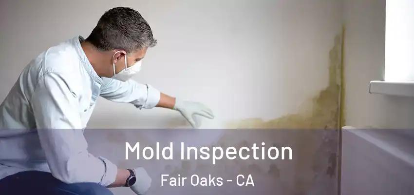 Mold Inspection Fair Oaks - CA