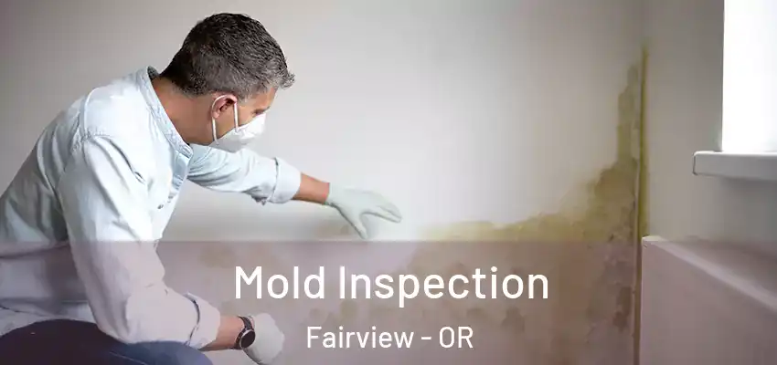  Mold Inspection Fairview - OR