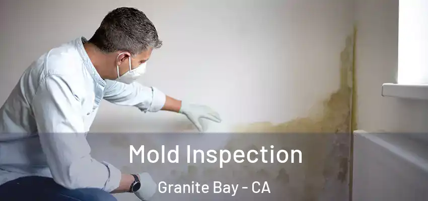  Mold Inspection Granite Bay - CA