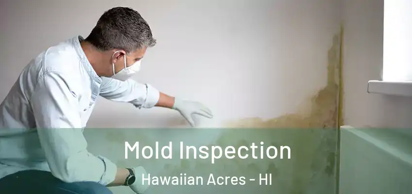 Mold Inspection Hawaiian Acres - HI