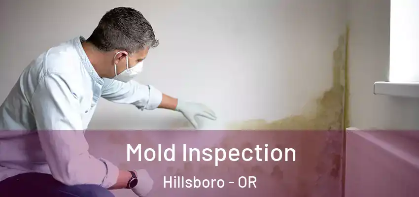  Mold Inspection Hillsboro - OR