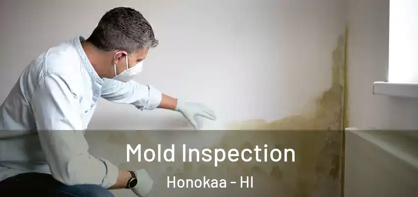  Mold Inspection Honokaa - HI