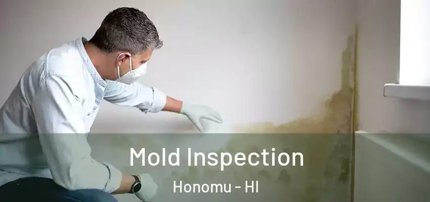  Mold Inspection Honomu - HI
