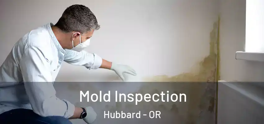  Mold Inspection Hubbard - OR