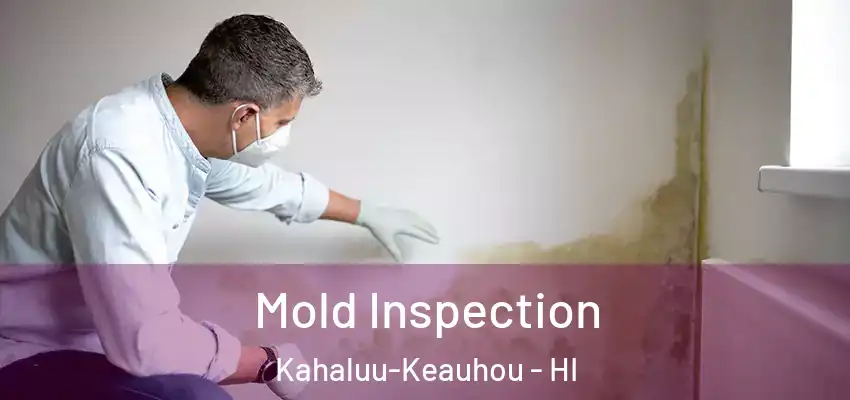  Mold Inspection Kahaluu-Keauhou - HI
