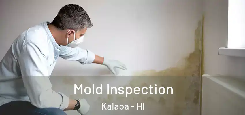  Mold Inspection Kalaoa - HI