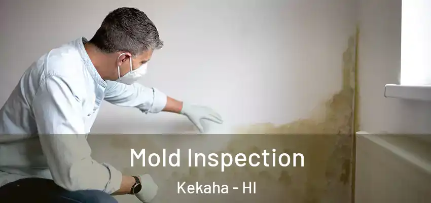  Mold Inspection Kekaha - HI