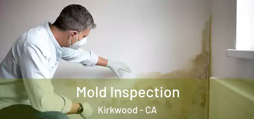  Mold Inspection Kirkwood - CA