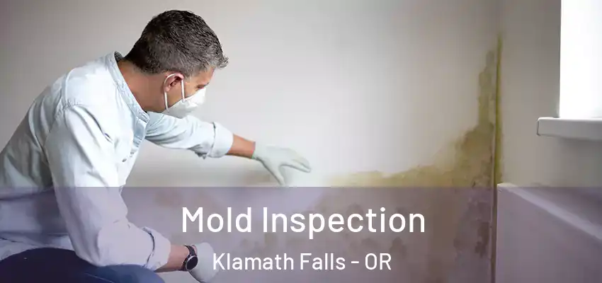  Mold Inspection Klamath Falls - OR