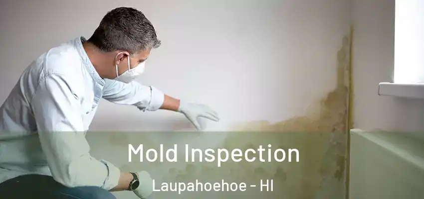  Mold Inspection Laupahoehoe - HI