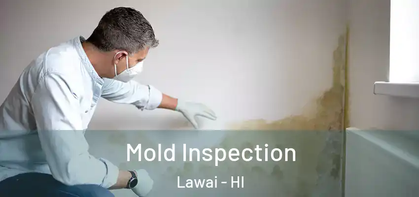  Mold Inspection Lawai - HI