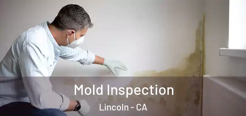  Mold Inspection Lincoln - CA