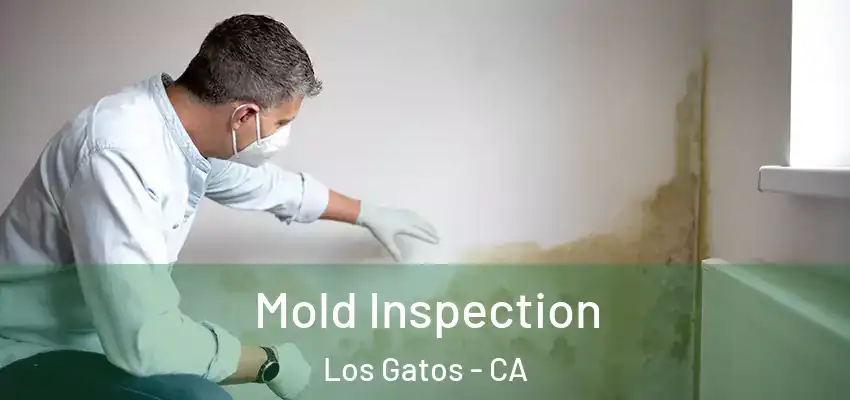  Mold Inspection Los Gatos - CA