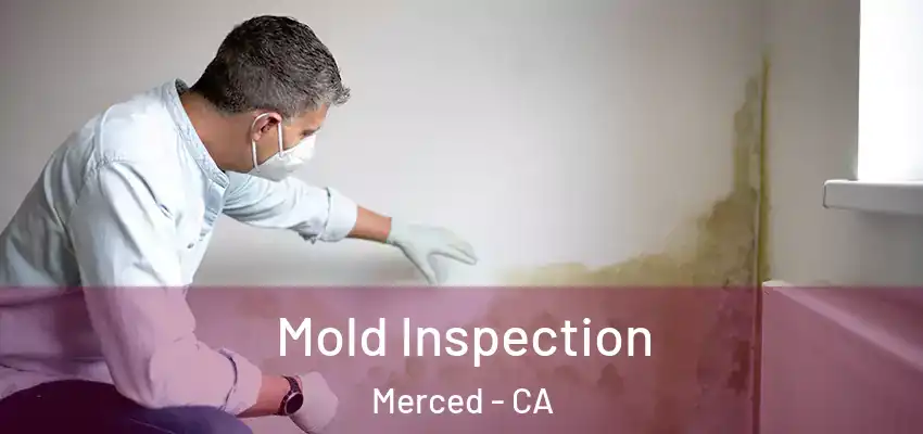  Mold Inspection Merced - CA