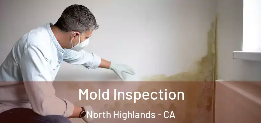  Mold Inspection North Highlands - CA