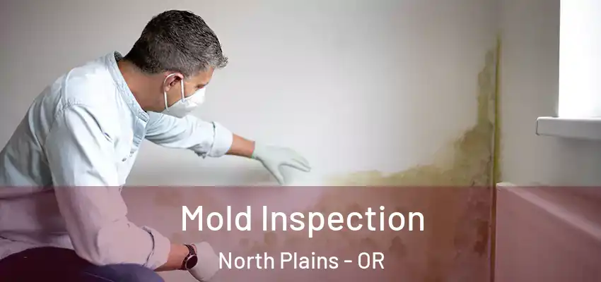  Mold Inspection North Plains - OR