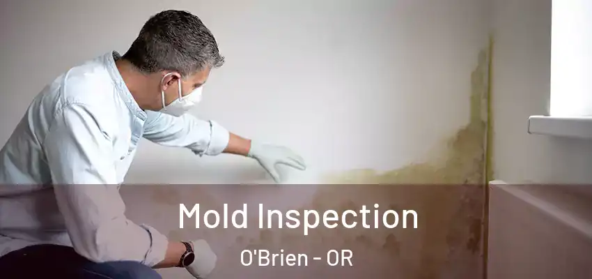 Mold Inspection O'Brien - OR