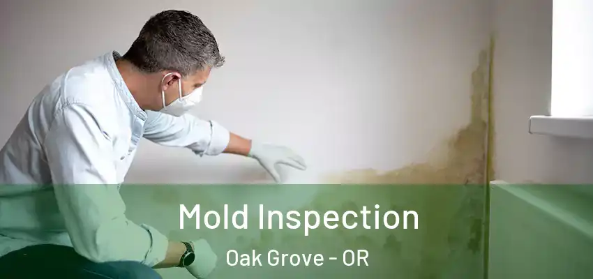  Mold Inspection Oak Grove - OR