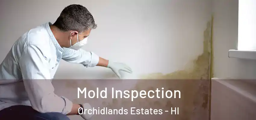  Mold Inspection Orchidlands Estates - HI