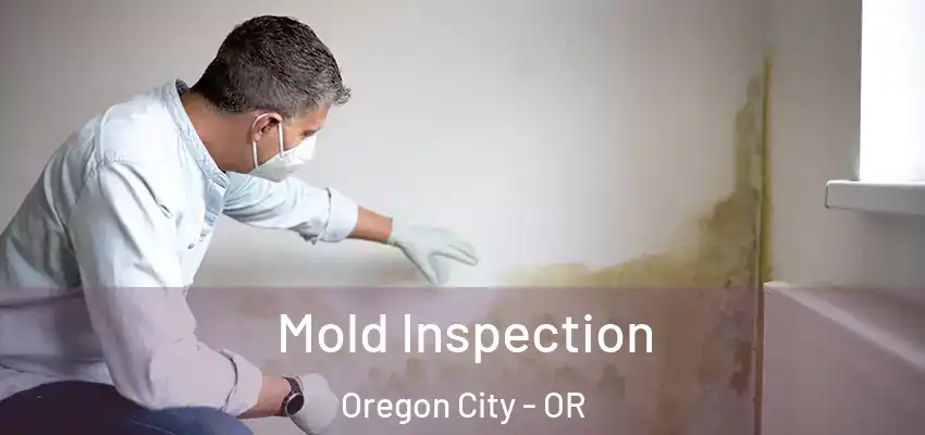  Mold Inspection Oregon City - OR