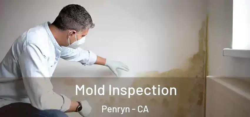  Mold Inspection Penryn - CA