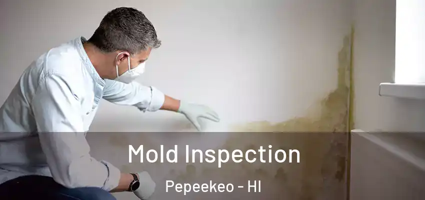 Mold Inspection Pepeekeo - HI
