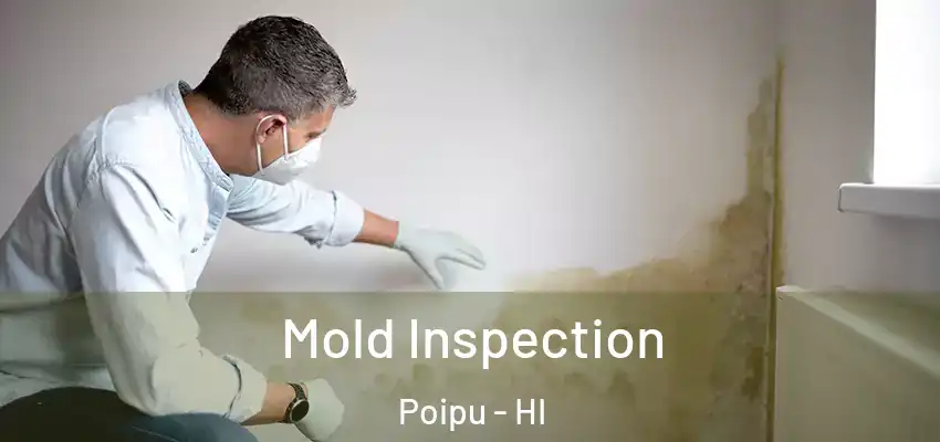  Mold Inspection Poipu - HI