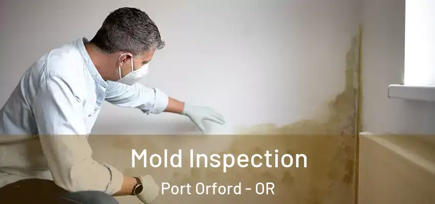  Mold Inspection Port Orford - OR