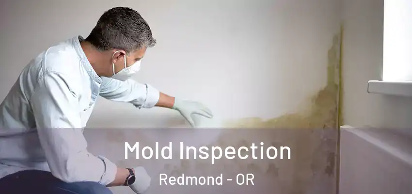  Mold Inspection Redmond - OR