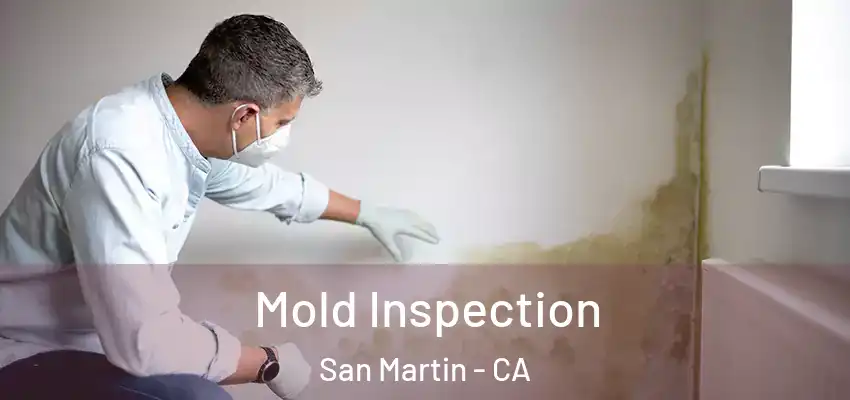  Mold Inspection San Martin - CA