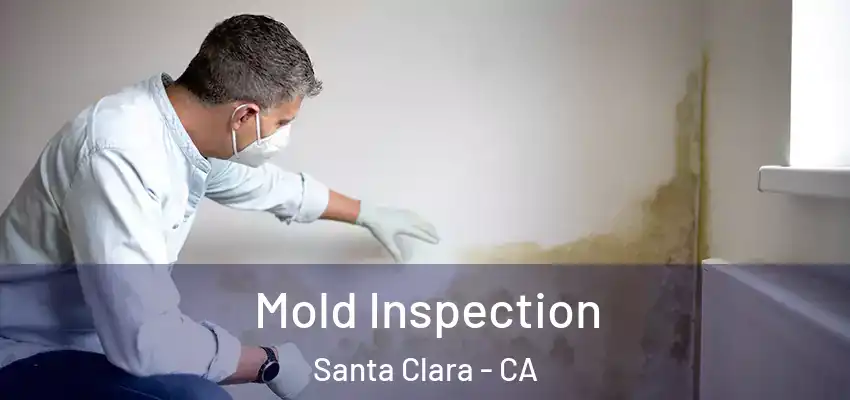  Mold Inspection Santa Clara - CA