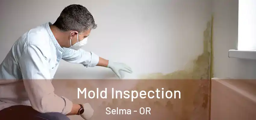 Mold Inspection Selma - OR