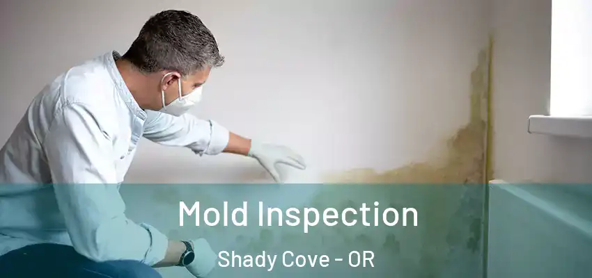  Mold Inspection Shady Cove - OR