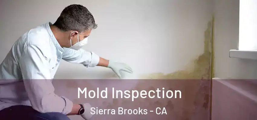  Mold Inspection Sierra Brooks - CA