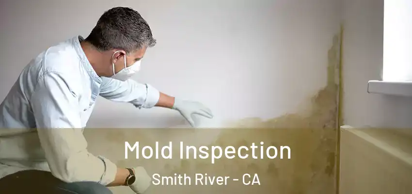  Mold Inspection Smith River - CA