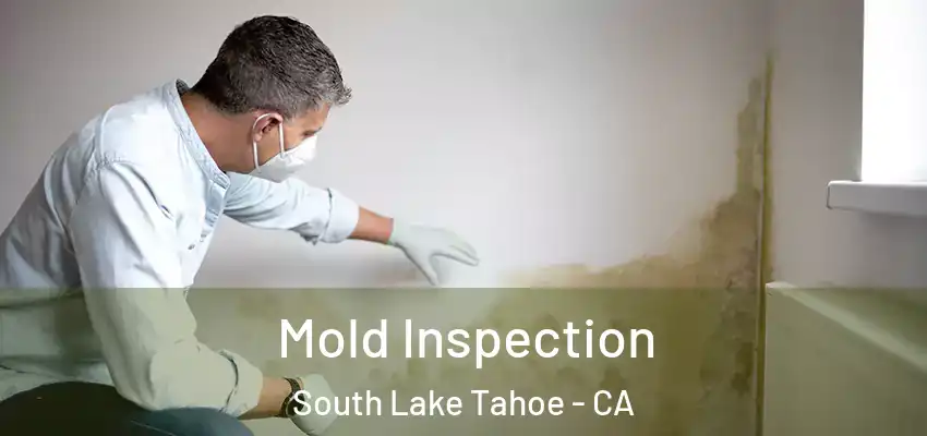  Mold Inspection South Lake Tahoe - CA