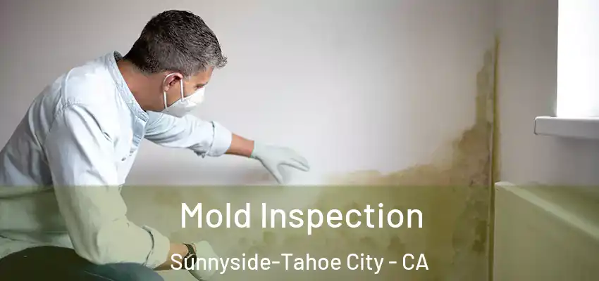  Mold Inspection Sunnyside-Tahoe City - CA