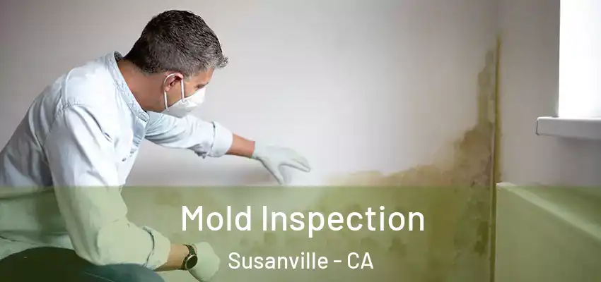  Mold Inspection Susanville - CA