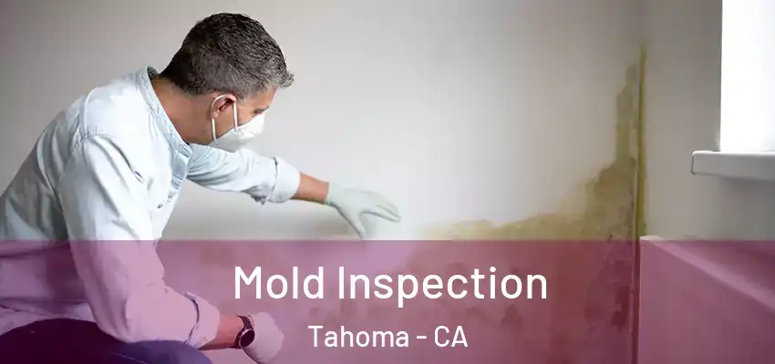  Mold Inspection Tahoma - CA