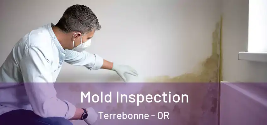  Mold Inspection Terrebonne - OR