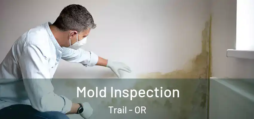  Mold Inspection Trail - OR