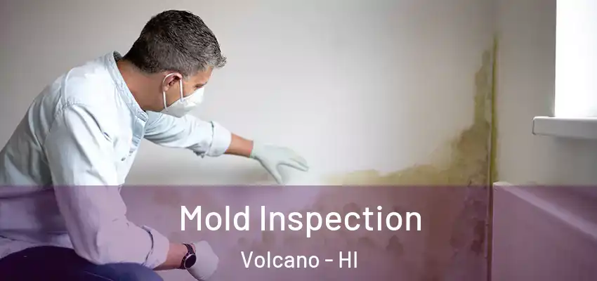 Mold Inspection Volcano - HI