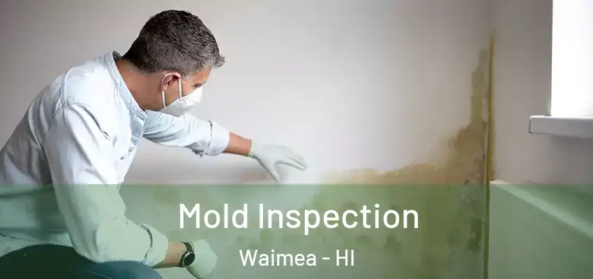 Mold Inspection Waimea - HI
