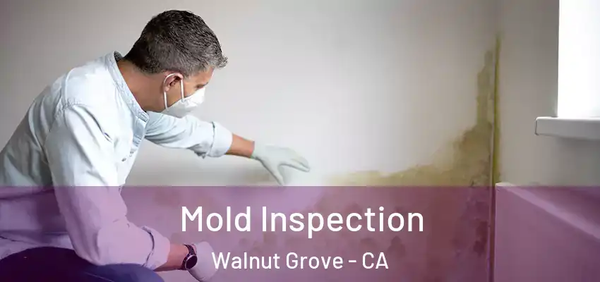  Mold Inspection Walnut Grove - CA