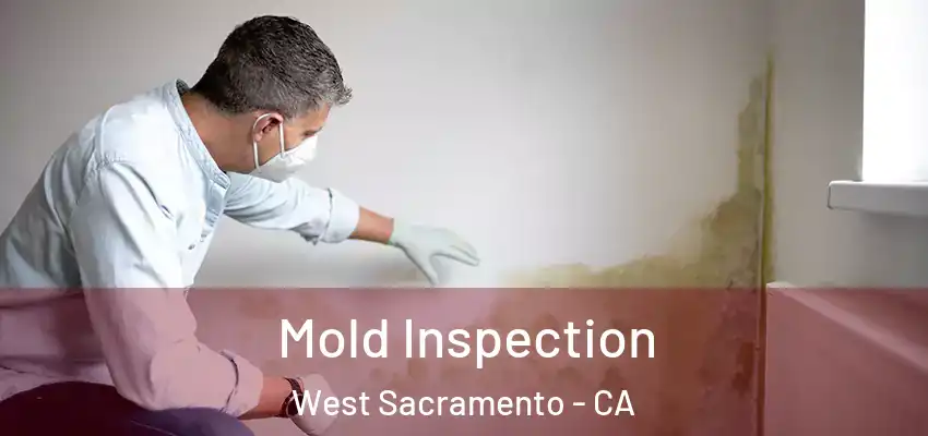 Mold Inspection West Sacramento - CA